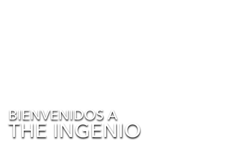Bienvenidos a the ingenio multicultural marketing and advertising agency